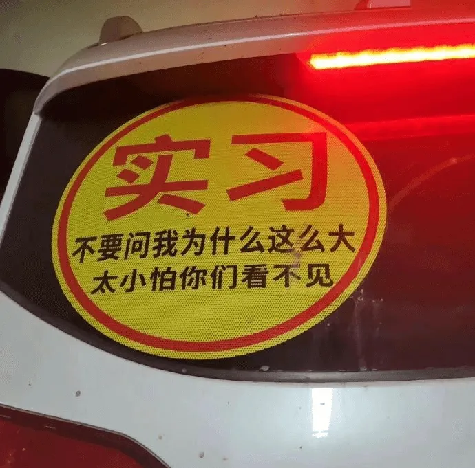 实习不要问我为什么这么大，太小怕你们看不见