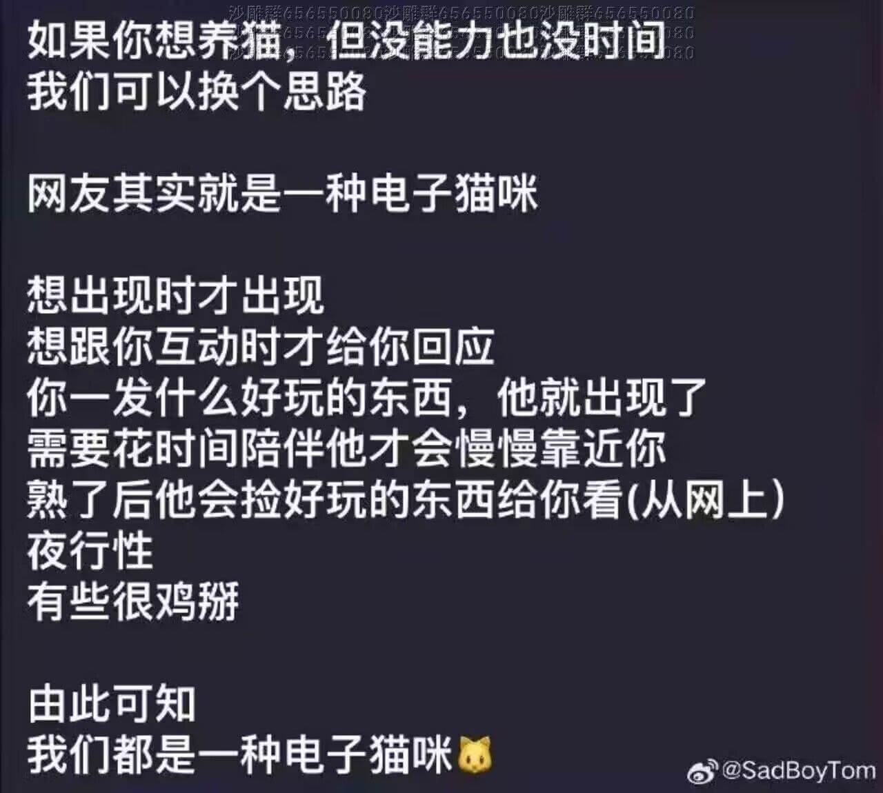 如果你想养猫但没能力也没时间我们可以换个思路网友其实就是一种