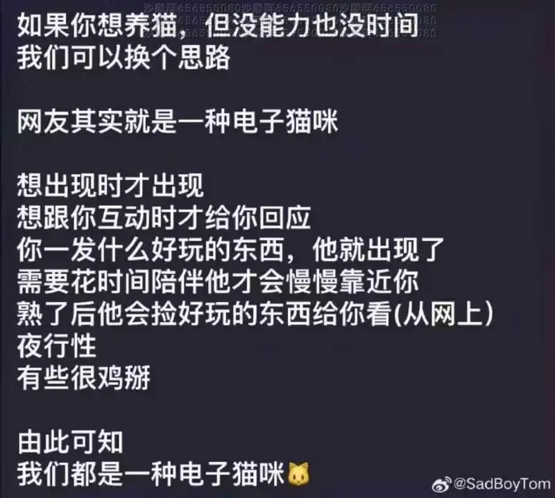 如果你想养猫但没能力也没时间我们可以换个思路网友其实就是一种