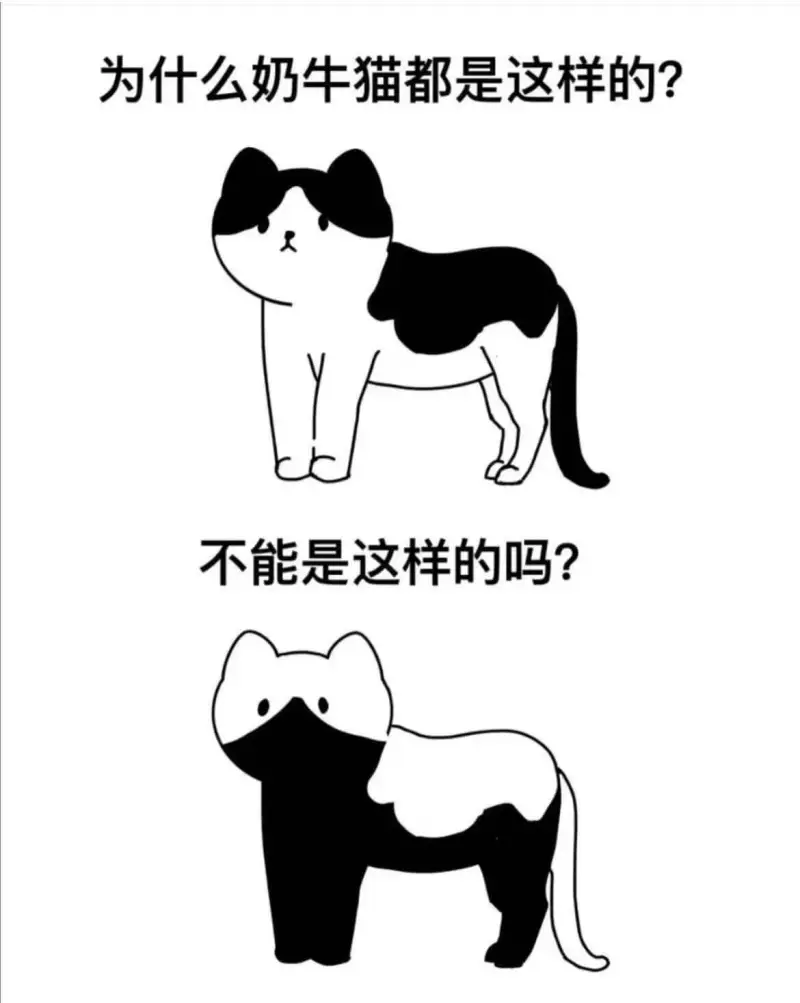 为什么奶牛猫都是这样的？不能是这样的吗？