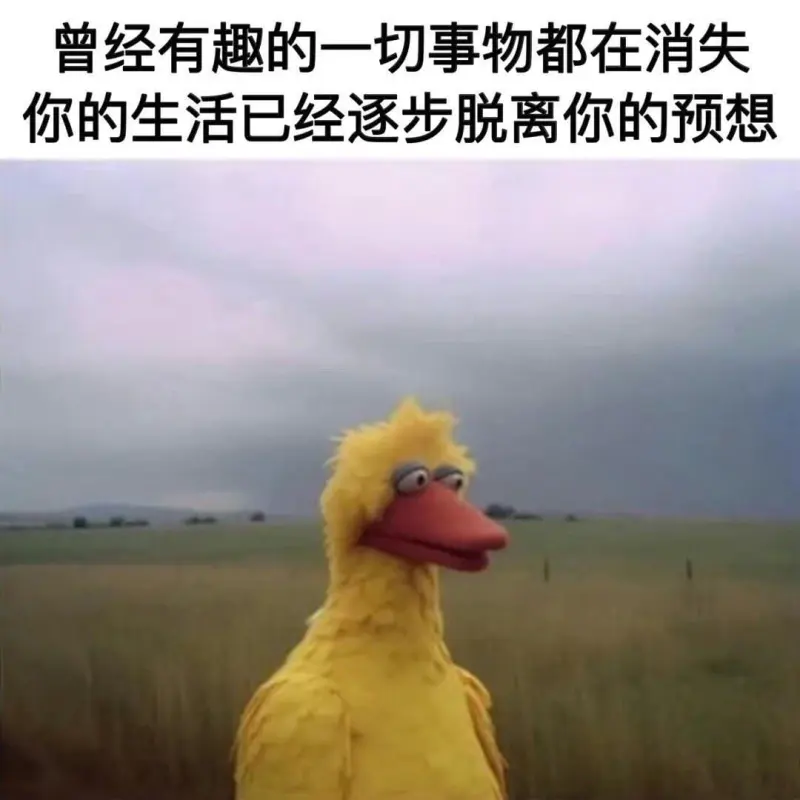 曾经有趣的一切事物都在消失你的生活已经逐步脱离你的预想