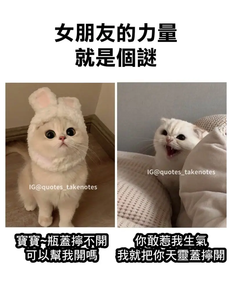 女朋友的力量就是谜IG@quotes_takenotesiG