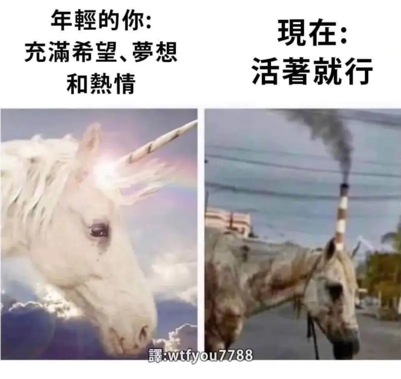 年輕的你：現在：充满希望、萝想活著就行和热情澤：wtfyou