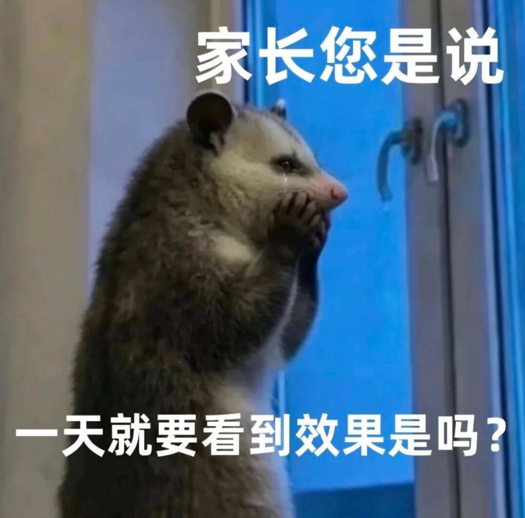 家长，您是说一天就要看到效果是吗？