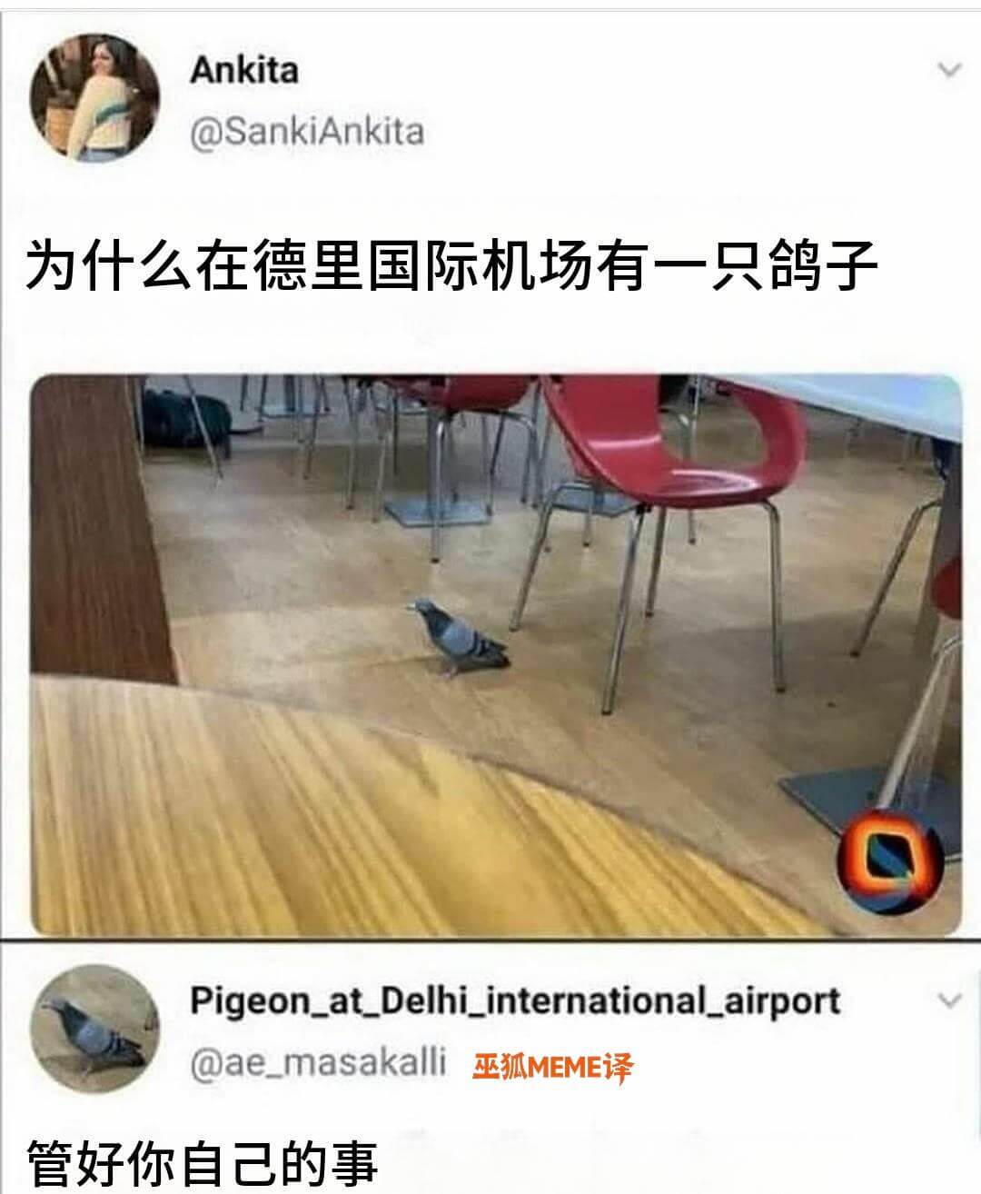Ankita@SankiAnkita为什么在德里国际机场有一
