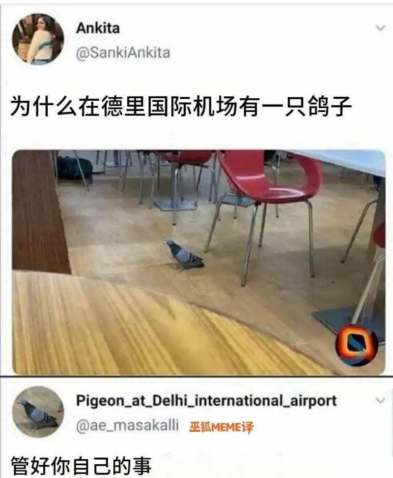 Ankita@SankiAnkita为什么在德里国际机场有一