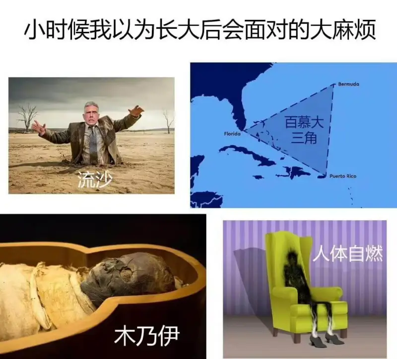 小时候我以为长大后会面对的大麻烦Bermuda百慕大Flor