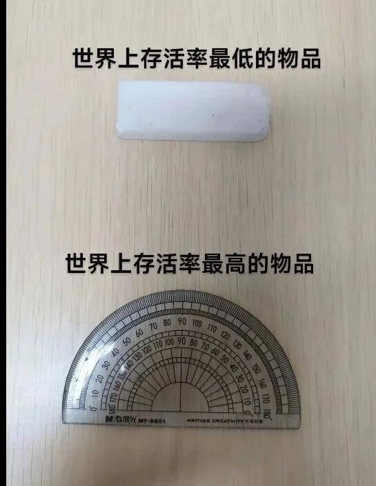 世界上存活率最低的物品世界上存活率最高的物品10ITIND