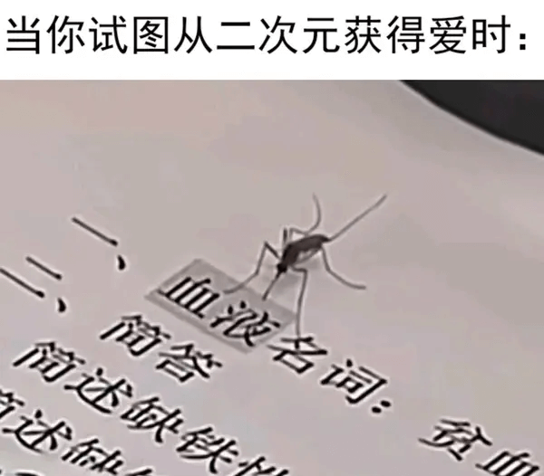 当你试图从二次元获得爱时：血浓名词：简述缺铁