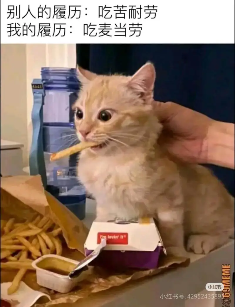 别人的履历:吃苦耐劳我的履历:吃麦当劳Imlovinit3W