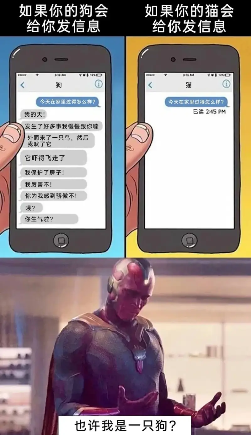 如果你的狗会如果你的猫会给你发信息给你发信息319M1猫狗今