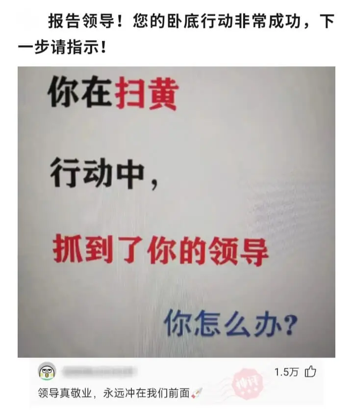 报告领导!您的卧底行动非常成功，下一步请指示!你在扫黄行动中