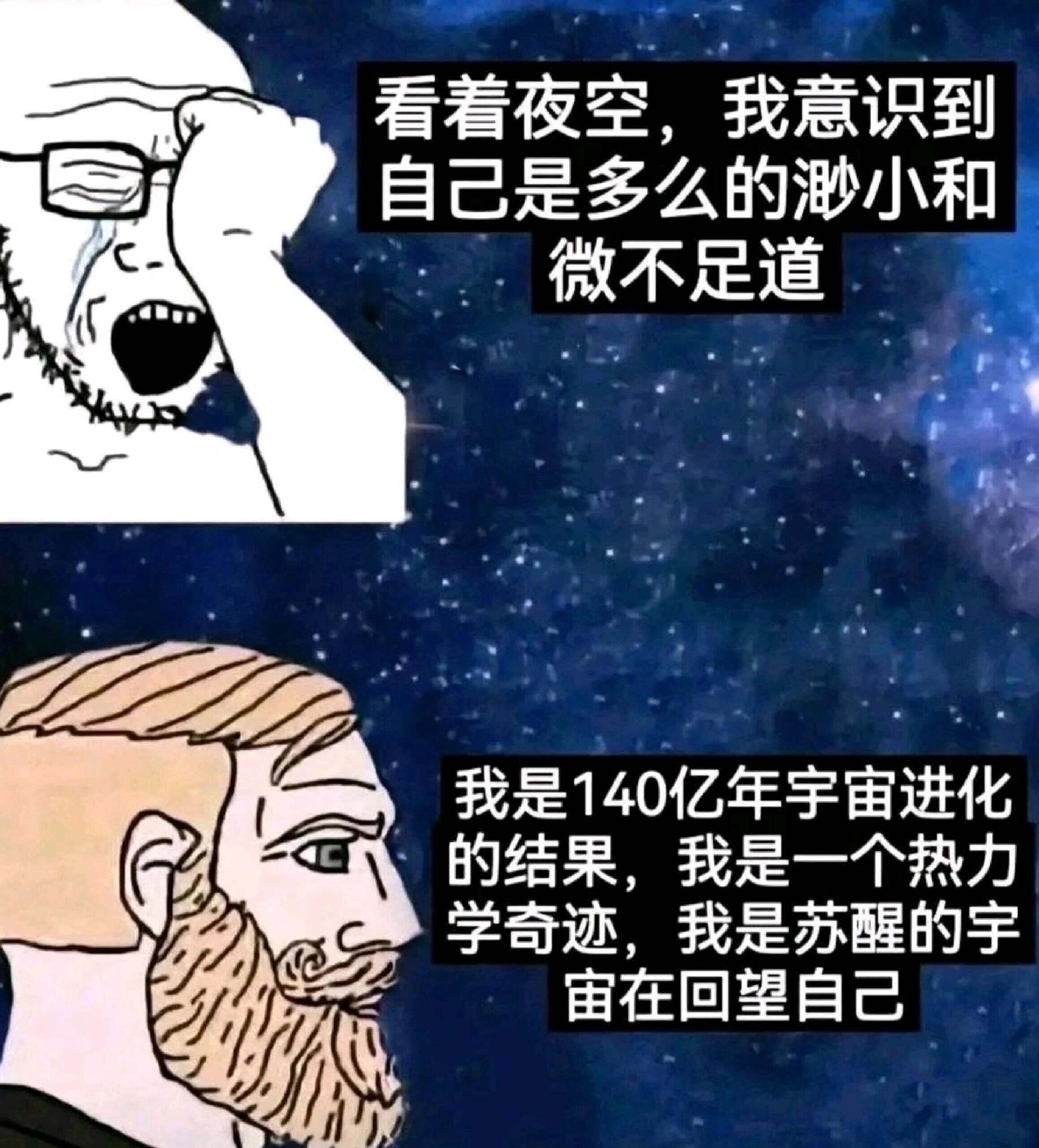 看看夜空我意识到自己是多么的渺小和微不足道我是140亿年宇宙