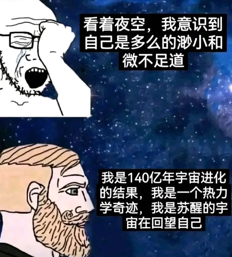 看看夜空我意识到自己是多么的渺小和微不足道我是140亿年宇宙