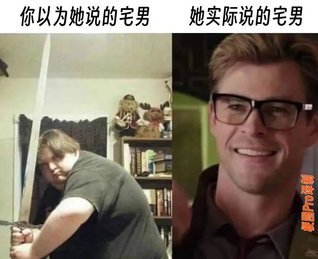 你以为她说的宅男她实际说的宅男梗图Pro译制