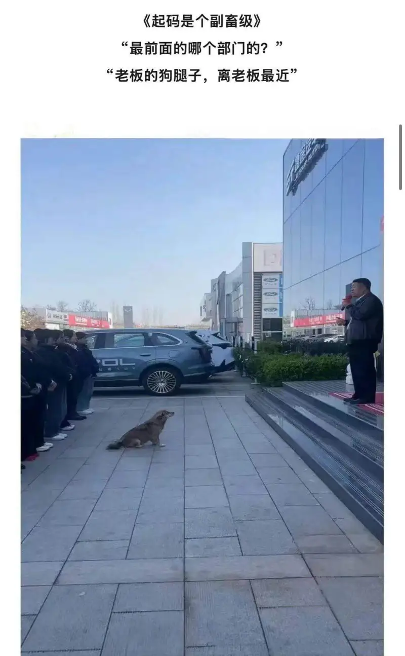 《起码是个副畜级》“最前面的哪个部门的？”“老板的狗腿子，离