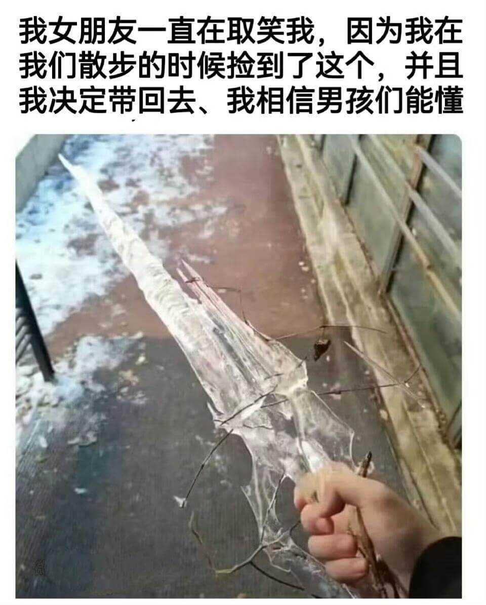 我女朋友一直在取笑我，因为我在我们散步的时候捡到了这个，并且