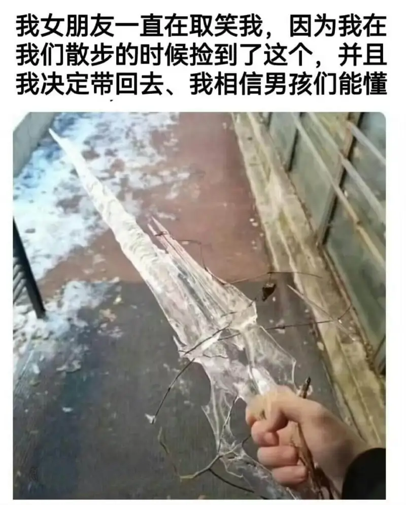 我女朋友一直在取笑我，因为我在我们散步的时候捡到了这个，并且