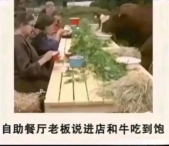 自助餐厅老板说进店和牛吃到饱