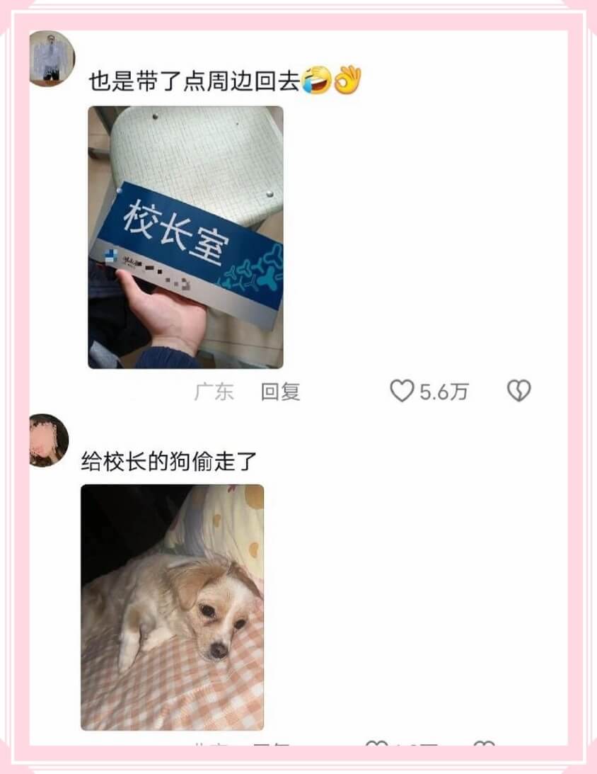 也是带了点周边回去广东回复5.6万给校长的狗偷走了