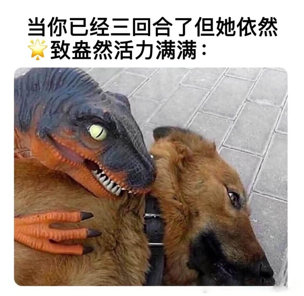 当你已经三回合了但她依然致益然活力满满：