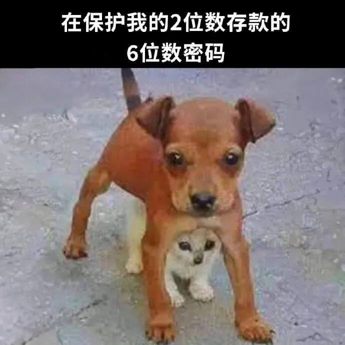 在保护我的2位数存款的6位数密码