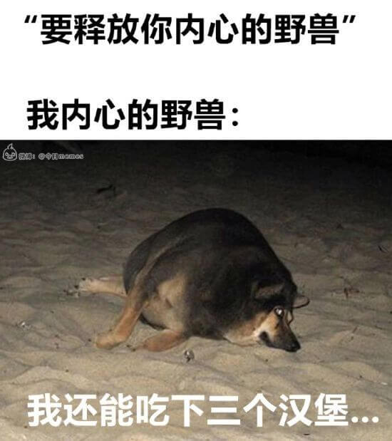 我内心的野兽:我还能吃下三个汉堡.