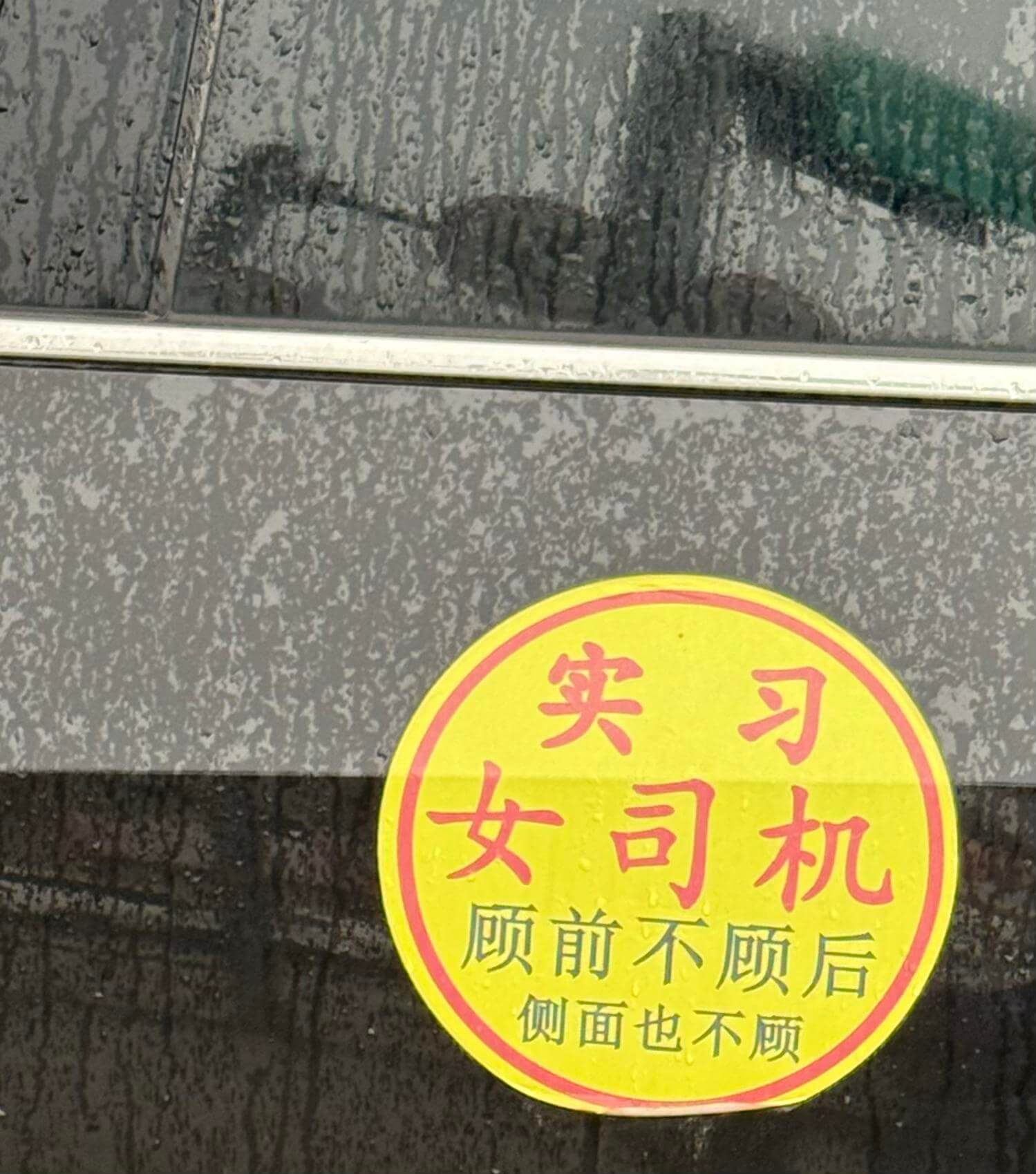实习女司机，顾前不顾后，侧面也不顾。