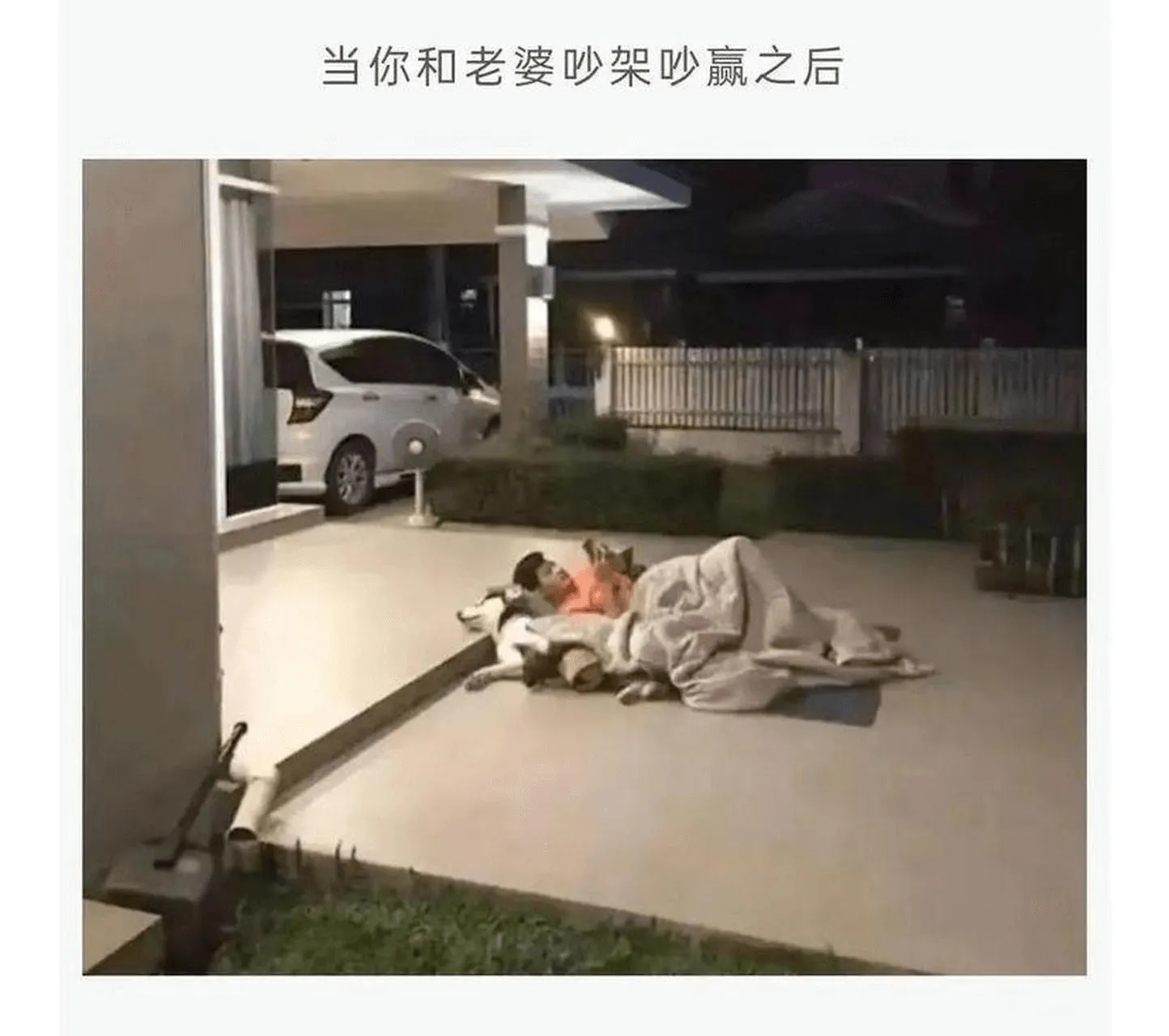 当你和老婆吵架吵赢之后