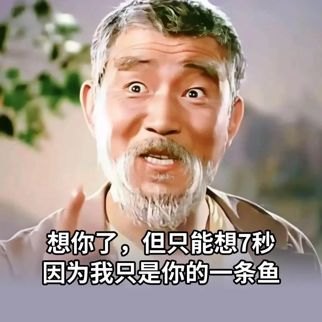 想你了，但只能想7秒，因为我只是你的一条鱼