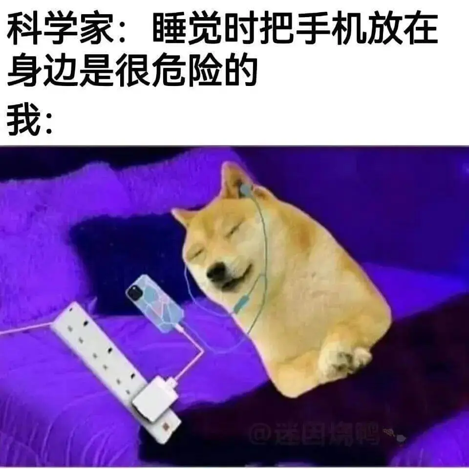 科学家：睡觉时把手机放在身边是很危险的我：@迷因烧鸭