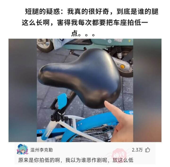 短腿的疑惑：我真的很好奇，到底是谁的腿这么长啊，害得我每次都