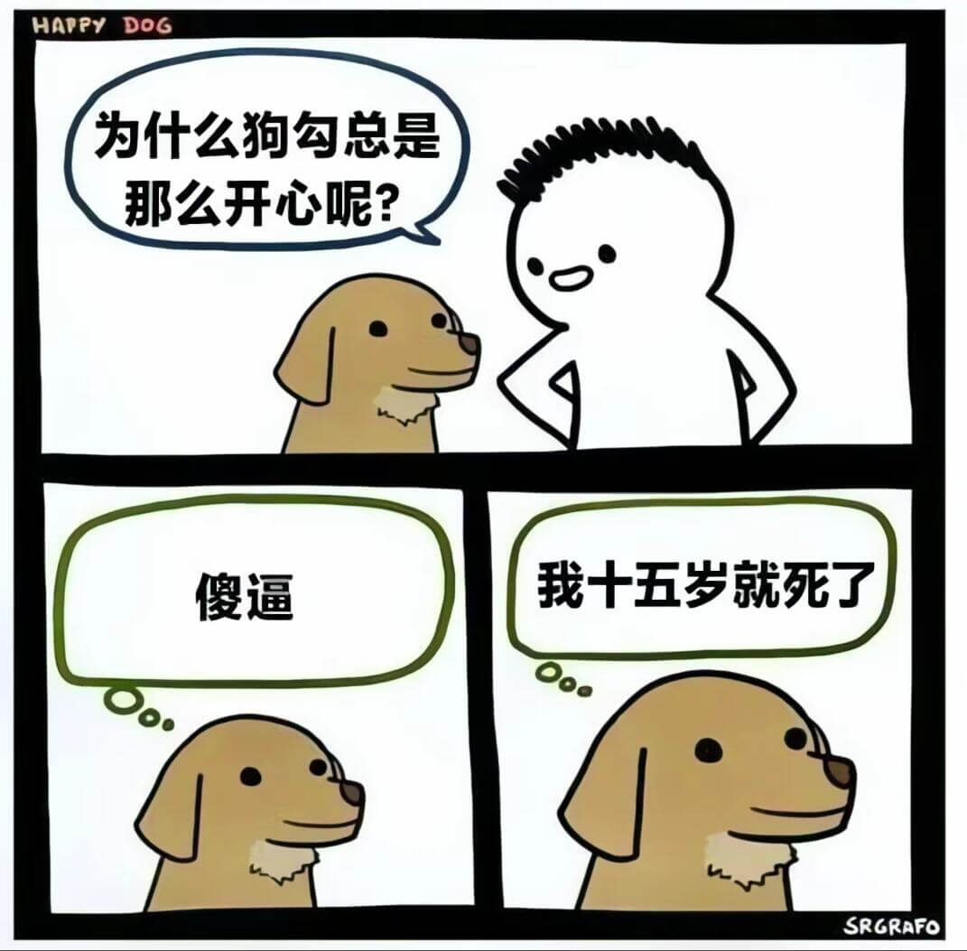 HAPPYDOG为什么狗勾总是那么开心呢？傻逼我十五岁就死了