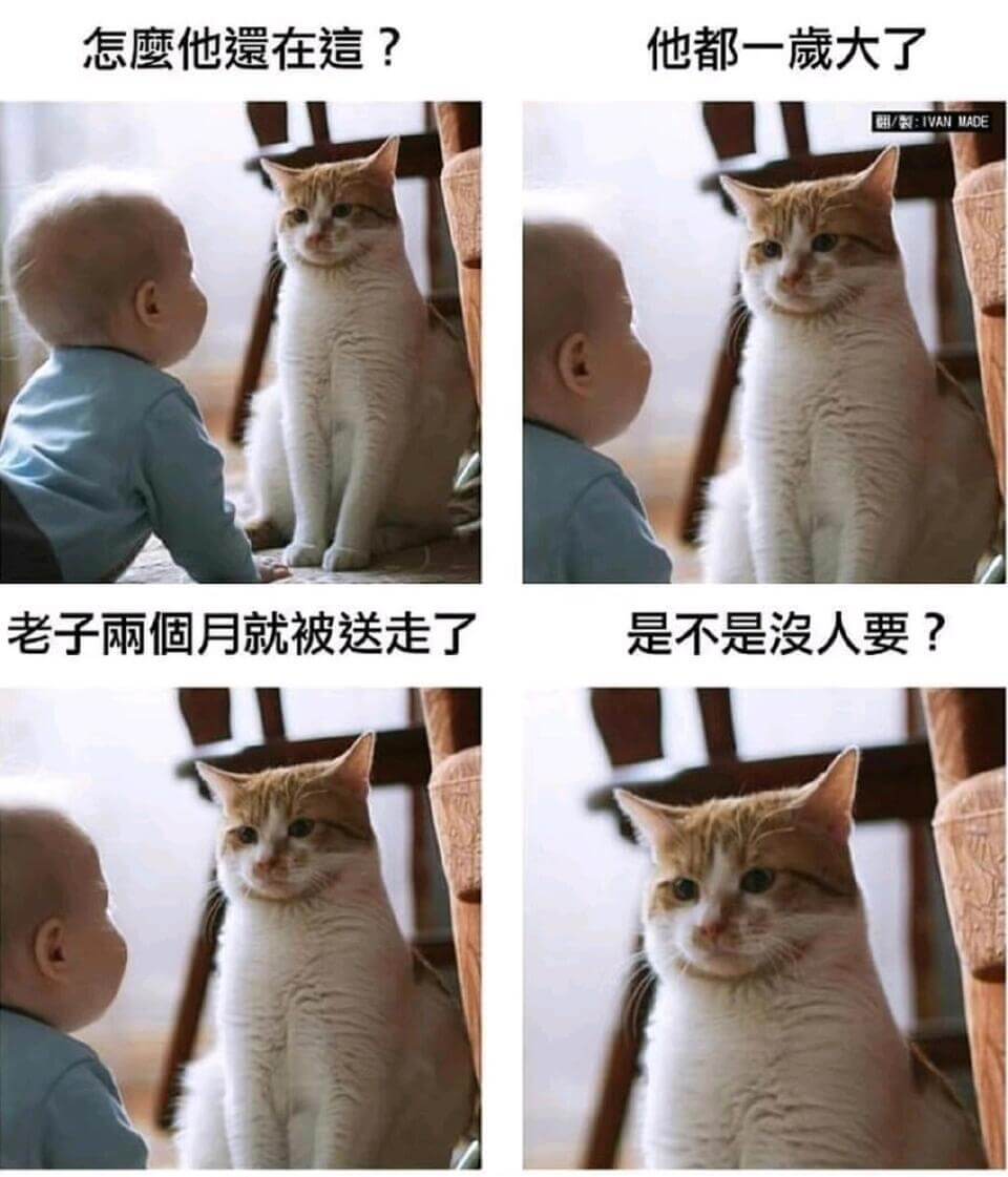 他怎么这么在意？他都一天了。EI：IVANMADE老子两个月