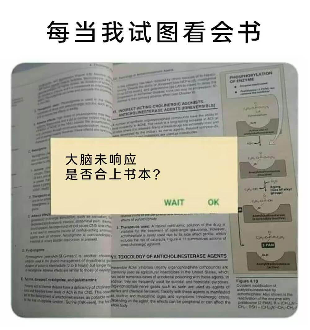 每当我试图看会书WHOSHORYLATONDFINZYM.H