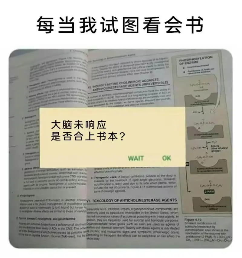 每当我试图看会书WHOSHORYLATONDFINZYM.H