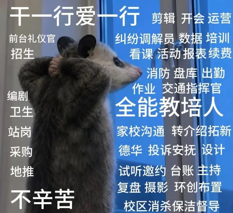 千一行爱一行剪辑开会运营前台礼仪官纠纷调解员数据培训招生看课