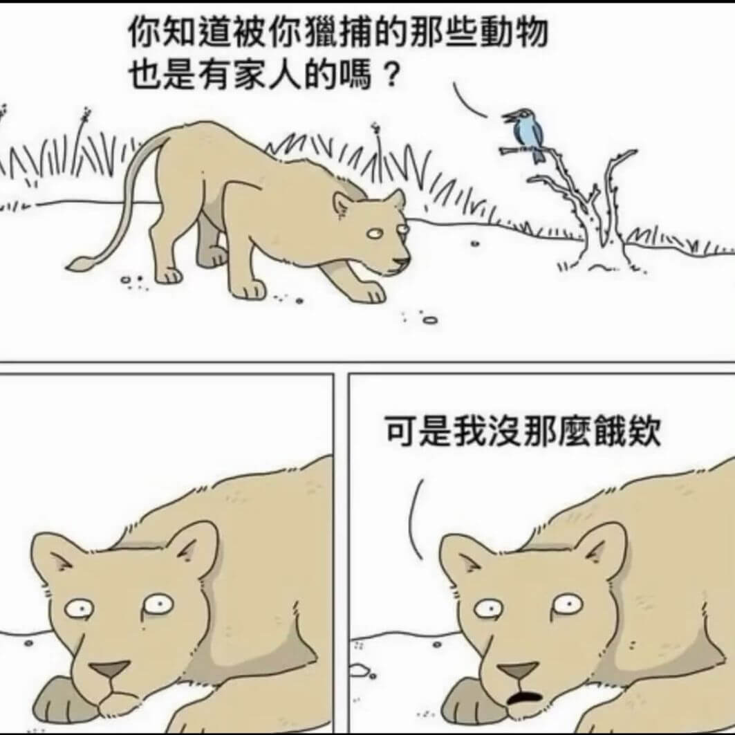 你知道被你猎捕的那些动物也是有家人的吗？可是我没那么宽阔