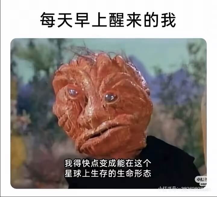 每天早上醒来的我我得快点变成能在这个星球上生存的生命形态小红