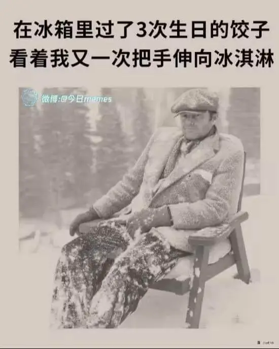 在冰箱里过了3次生日的饺子看着我又一次把手伸向冰淇淋微裙回今