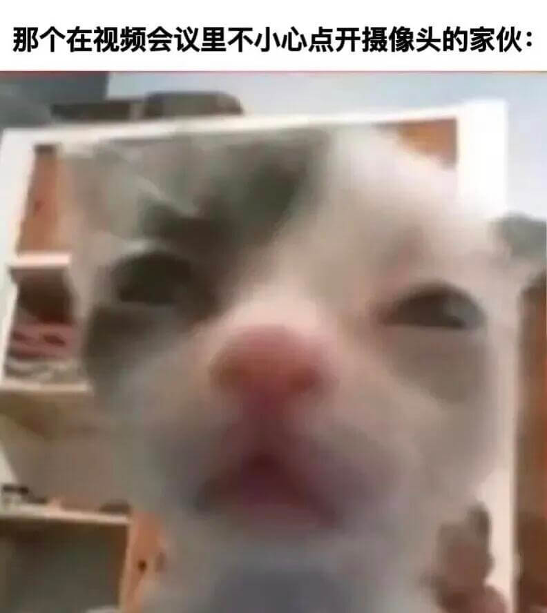 那个在视频会议里不小心点开摄像头的家伙：