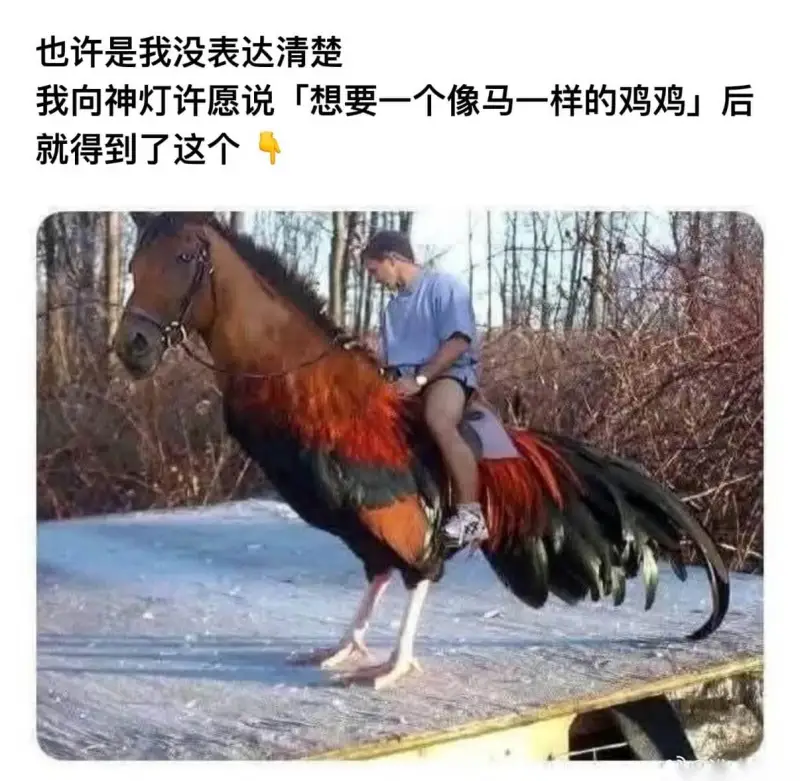 也蛮屌的👍🏻
