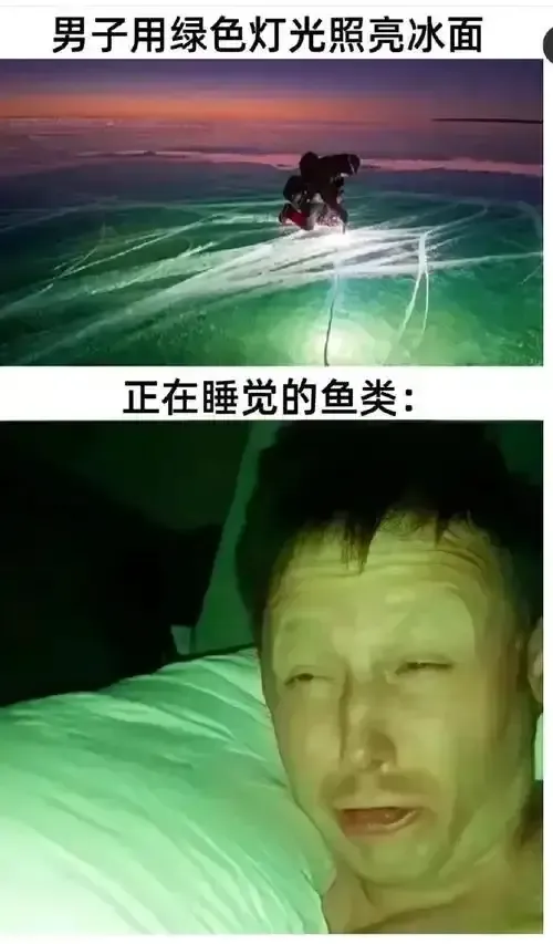 男子用绿色灯光照亮冰面正在睡觉的鱼类：