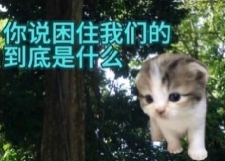 你说困住我们的到底是什么