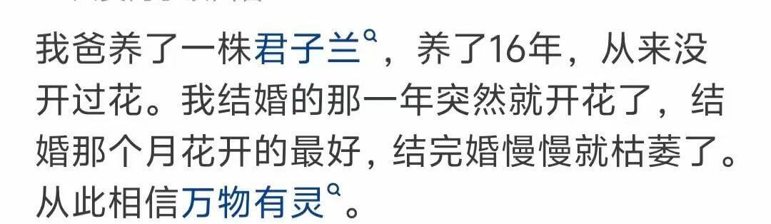 我爸养了一株君子兰^{\circ},养了16年开过花。我结婚
