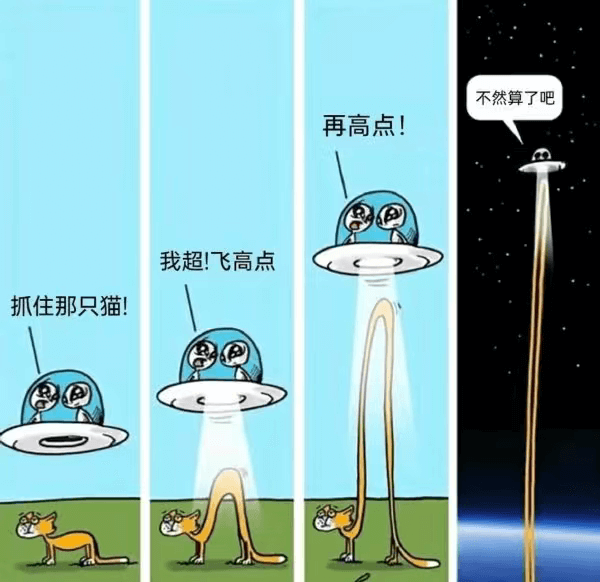 不然算了吧再高点！我超！飞高点！抓住那只猫！
