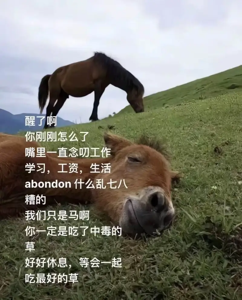 醒了啊你刚刚怎么了？嘴里一直念叻：工作、学习、工资、生活、a