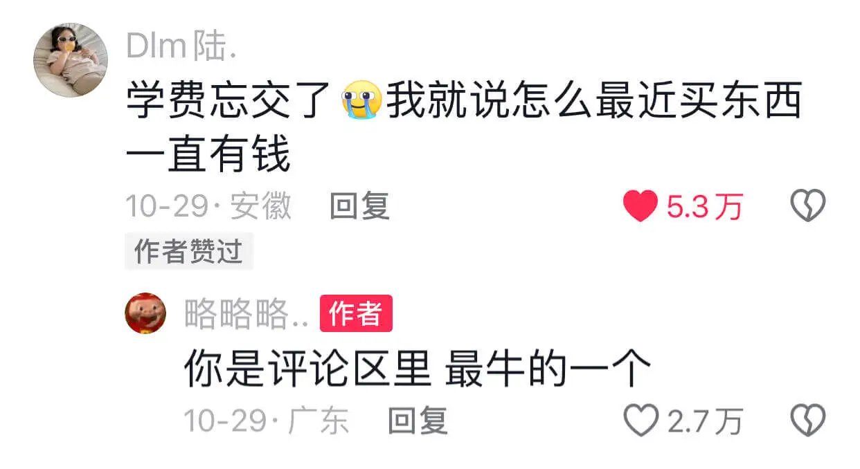 Dlm陆.学费忘交了,我就说怎么最近买东西一直有钱。10-2