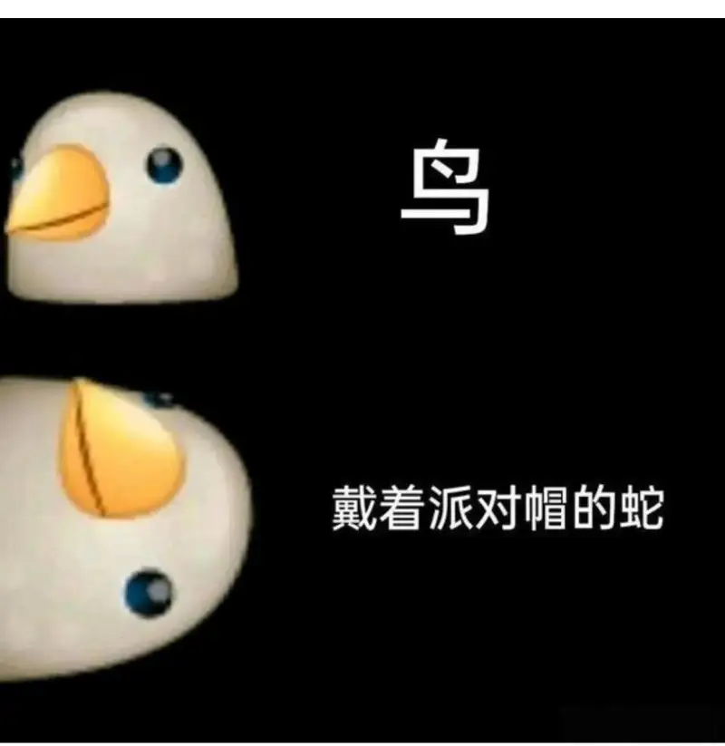 鸟戴着派对帽的蛇
