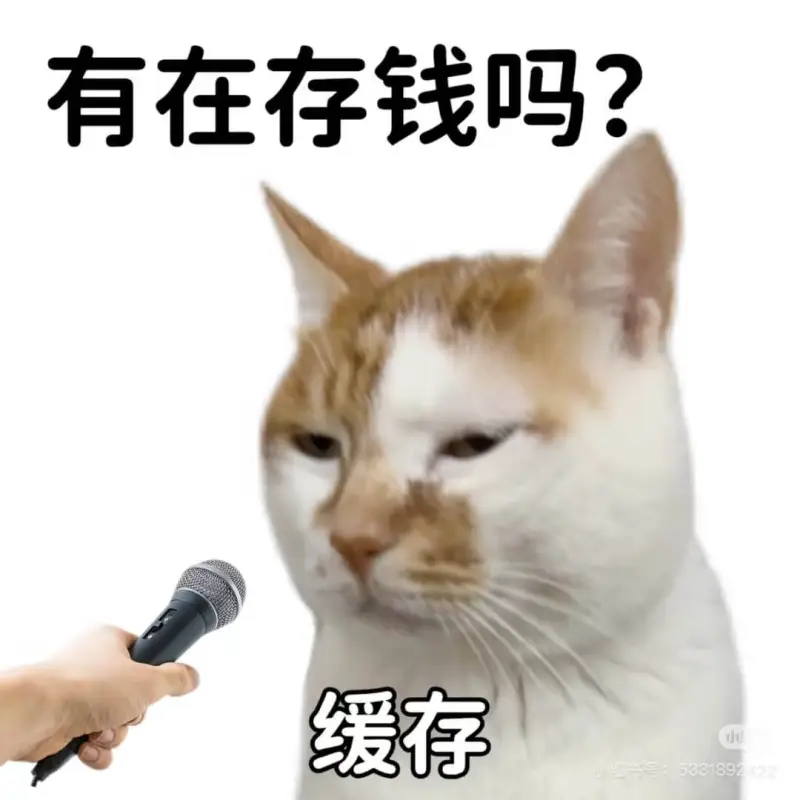 有在存钱吗?